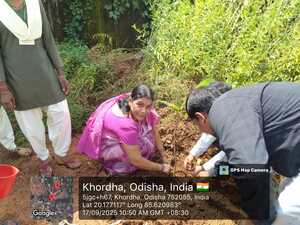 Plantation at college campus 