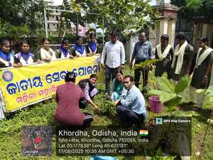 Plantation at college campus 